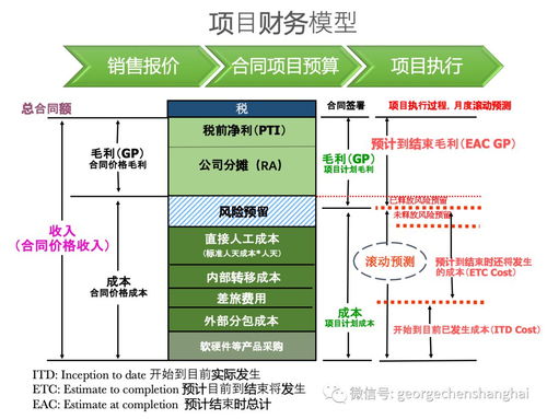 開票無關型專業服務項目公司運營管理體系 流程、財務管理與IT系統及信息系統運維服務