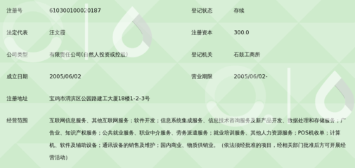 陜西匯才信息科技 專業信息技術咨詢的領航者